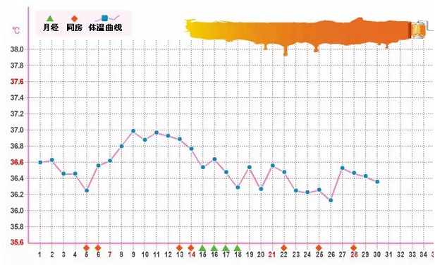 怎么掌握排卵期的规律 怎么准确的计算排卵