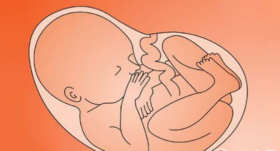 孕妇睡觉的时候胎儿也在睡觉吗 胎儿什么时候睡觉-怀孕期